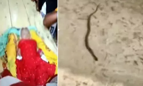 విషాదం.. ఒకే ఇంట్లో ముగ్గురిని కాటేసిన పాము.. 3 నెలల చిన్నారి మృతి