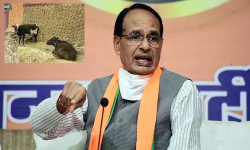 ఆవు పేడ, మూత్రంతో ఆర్థిక వ్యవస్థలు బలోపేతం