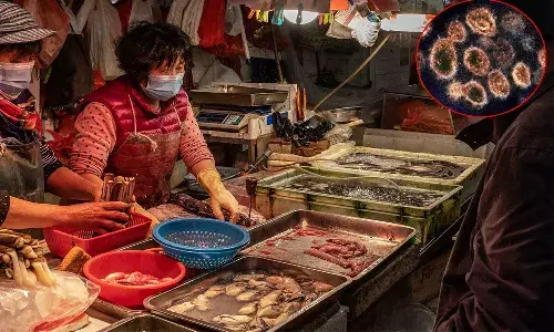 చైనా దేశంలో మరో 18 రకాల ప్రమాదకర వైరస్లు