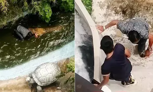 నీటిలో ఉన్నది బొమ్మ అనుకున్నాడు.. దగ్గరకు వెళితే చేతినే కోరికేసింది