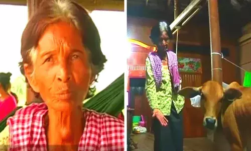 ఆవును పెళ్లి చేసుకున్న 74 ఏళ్ల వృద్ధురాలు.. కారణమేంటో తెలిస్తే ఆశ్చర్యపోతారు.!