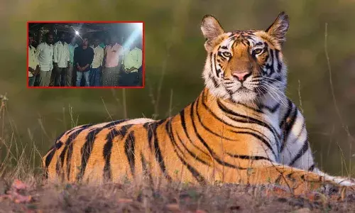 ఎదురు ప‌డ్డ పులి.. భ‌యంతో బైక్ వ‌దిలేసి ప‌రుగో ప‌రుగు..