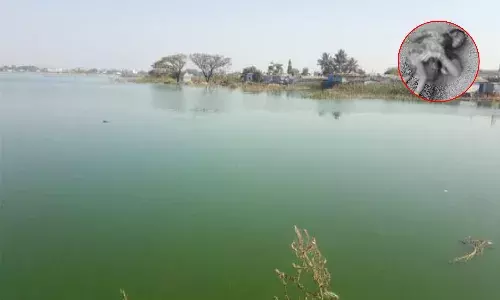 విషాదం.. కూతురిని నడుముకు కట్టుకుని తల్లి ఆత్మహత్య