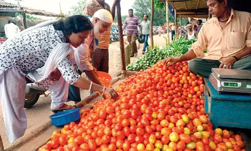 భారీగా తగ్గిన టమాటా ధర.. సామాన్యుడి ఆనందం.. రైతన్న ఆక్రోశం