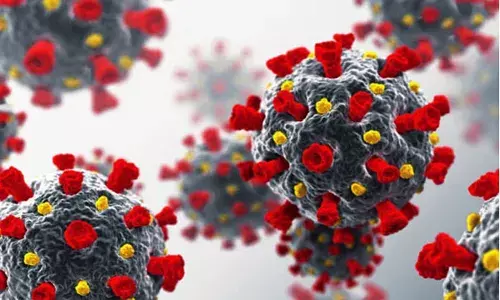 తెలంగాణలో ఒక్క రోజే 12 ఒమిక్రాన్ కేసులు