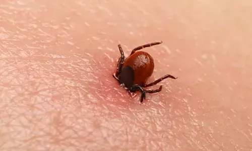 హైదరాబాద్లో పెరుగుతున్న స్క్రబ్ టైఫస్ వ్యాధి బాధితులు.. ఎక్కువగా పిల్లలే.!