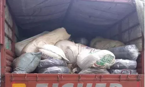 ఆ ట్రక్కులో కనిపిస్తోంది ఏమిటో తెలుసా..?