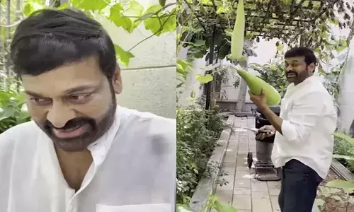 పెరట్లో ఆనపకాయల‌ను చూసి చిరు ఆనందం.. వీడియో వైర‌ల్‌