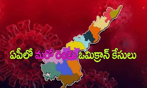 ఏపీలో మరో రెండు ఒమిక్రాన్ కేసులు