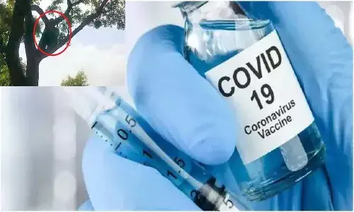 వ్యాక్సిన్ వేస్తారని భయంతో.. కొడవలితో పారిపోయి చెట్టుపైకి ఎక్కాడు.. కానీ