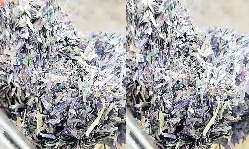 నిజామాబాద్లో రోడ్డుపై.. కుప్పలు కుప్పలుగా కరెన్సీ నోట్ల తుక్కు
