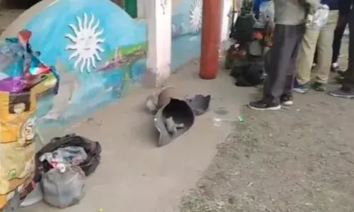 బెలూన్లను కొనుక్కోడానికి పిల్లలు వెళ్లారు.. ఇంతలో..!