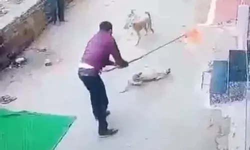 పెంపుడు కుక్క‌ను రోజూ చూస్తున్న వీధికుక్క‌.. య‌జ‌మాని చేసిన ప‌నికి క‌న్నీళ్లు ఆగ‌వు..