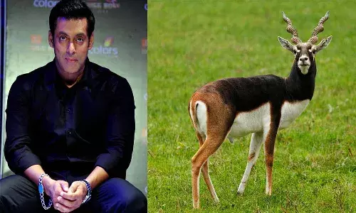 బాలీవుడ్ స్టార్ సల్మాన్ ఖాన్ చంపిన.. కృష్ణజింకలకు రాజస్థాన్లో స్మారక చిహ్నం