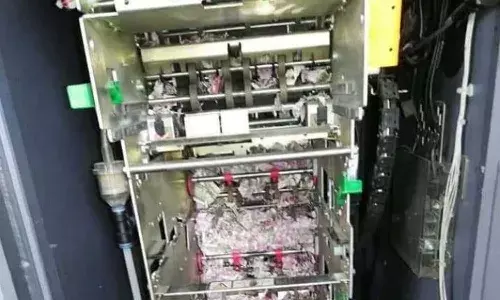 ఈ ఫోటోలో దొంగతనం చేయబడ్డ వస్తువు ఏమిటో తెలుసా..?