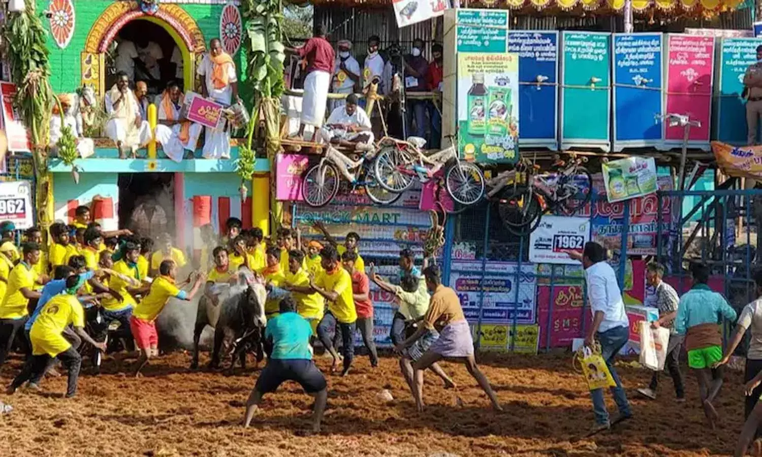 చిత్తూరులో జల్లికట్టు.. 30 మందికిపైగా గాయాలు