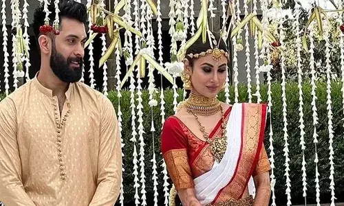 పెళ్లి చేసుకున్న నాగిణీ ఫేమ్ బ్యూటీ