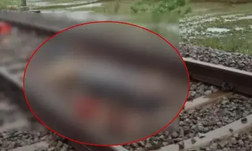 విషాదం : రైలు కింద పడి దంపతులు ఆత్మహత్య