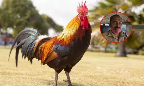 ఆర్టీసీ బస్సులో కోడికి టికెట్ కొట్టిన కండక్టర్.. సజ్జనార్ స్పందిస్తూ..