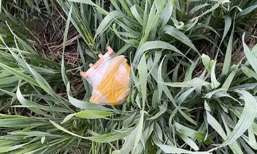 పంజాబ్‌లో బాంబులను విడిచిన డ్రోన్స్