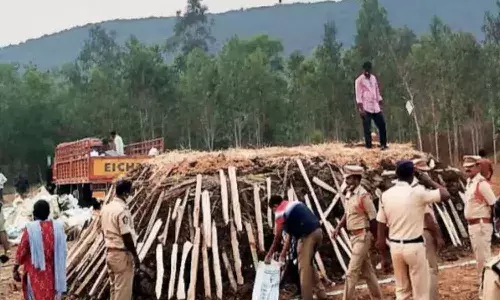 రూ. 200 కోట్ల విలువైన.. రూ. 2 లక్షల కిలోల గంజాయిని దహనం.. ఎక్కడంటే.!