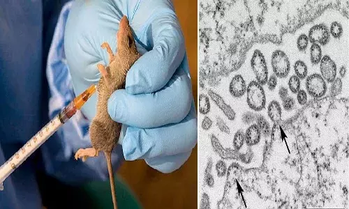 ఇన్ని రోజులూ కరోనా.. ఇప్పుడు లస్సా ఫీవర్ టెన్షన్