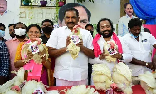 కేసీఆర్ జన్మదినం సందర్భంగా కోళ్ల పంపిణీ