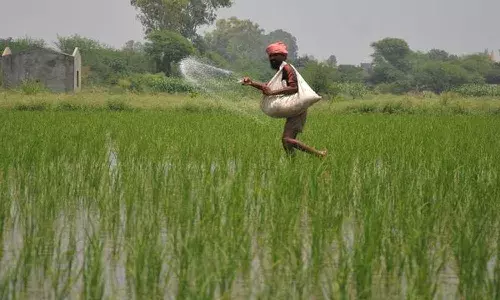 పీఎం ఫసల్ బీమా యోజన.. ఇంటింటికీ పంపిణీ.!