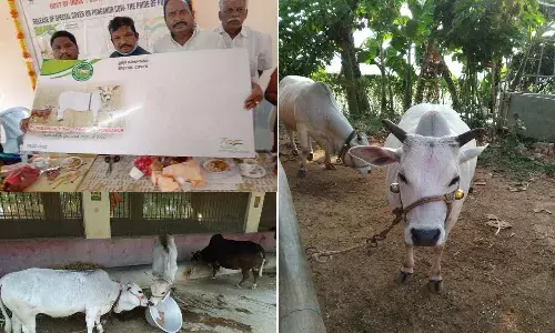 ఆ జాతి ఆవుకు అరుదైన గౌరవం.. రైతులు హర్షం.!