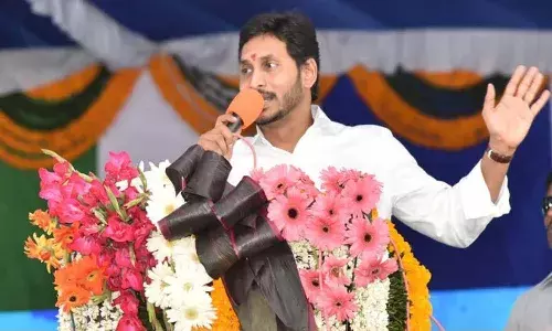 అది సీఎం జగన్ కలల ప్రాజెక్ట్.. పూర్తి సహకారం అందించండి