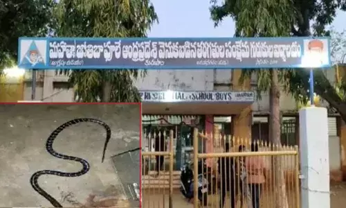 విషాదం.. నిద్రిస్తున్న విద్యార్థుల‌పై పాము కాటు.. ఒక‌రు మృతి