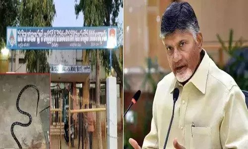 పాముకాటుతో విద్యార్ధి మృతి బాధాకరం.. ప్రభుత్వం బాధ్యత వహించాలి : చంద్రబాబు