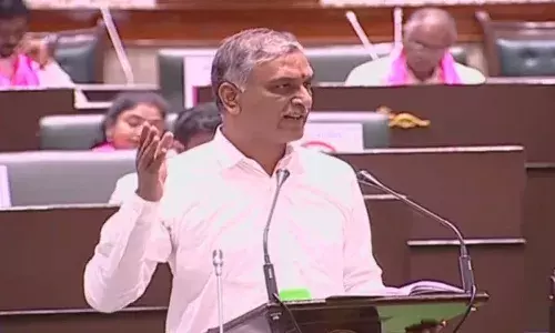తెలంగాణలో తొలి మహిళా యూనివర్సిటీని ఏర్పాటు: మంత్రి హరీష్ రావు