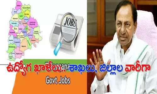 తెలంగాణలో ఉద్యోగాల జాతర.. ఏ జిల్లాలో ఎన్ని, క్యాడర్, శాఖల వారీగా  వివరాలు ఇవే