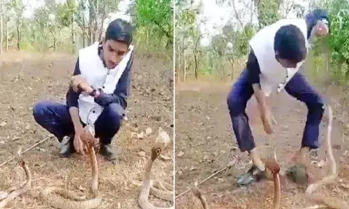 విషాదంగా ముగిసిన వైర‌ల్‌ వీడియో ట్రిక్