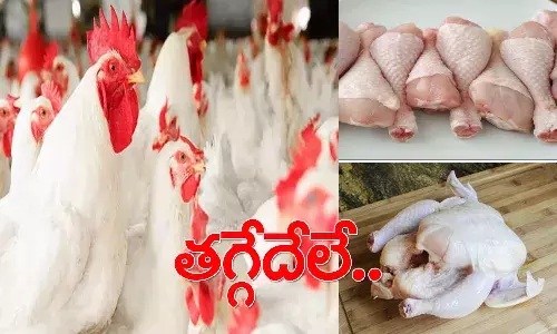 కొండెక్కిన కోడి ధ‌ర.. తినాలంటే జేబు ఖాళీ