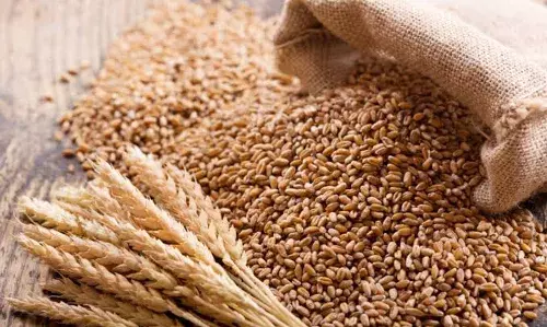 యుధ్దం నేపథ్యంలో మన గోధుమల కోసం చూస్తున్న దేశాలు