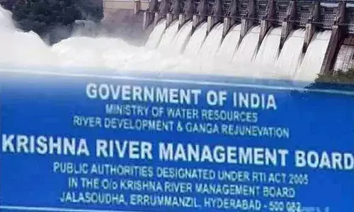 కృష్ణా నదీ యాజమాన్య బోర్టుకు ఏపీ ప్రభుత్వం లేఖ