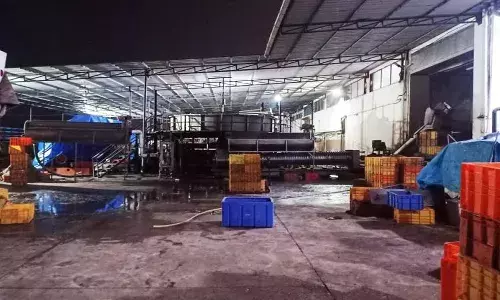 ఫిష్ ప్రాసెసింగ్ ఫ్యాక్టరీలోని మురుగునీటి ట్యాంక్లో మునిగి ఐదుగురు కార్మికులు మృతి