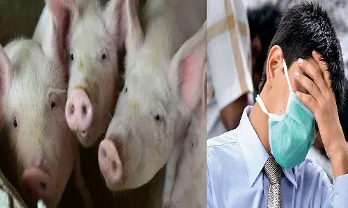 దేశంలో మరో కొత్త వైరస్.. త్రిపురలో ఆఫ్రికన్ స్వైన్ ఫ్లూ..!