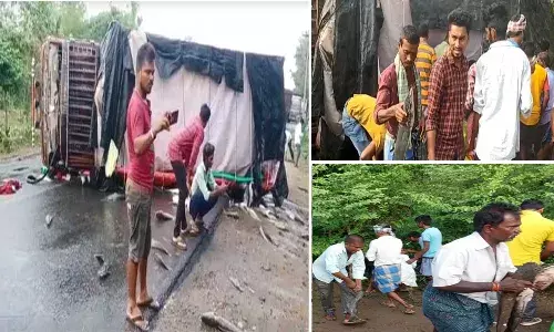 చేపల లారీ బోల్తా.. నిమిషాల్లో చేపలు మాయం