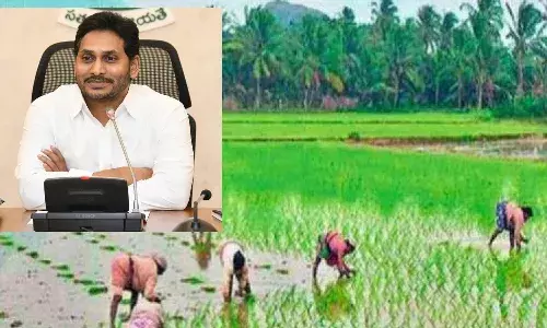 వరుసగా మూడో ఏడాది వైఎస్సార్ ఉచిత పంటల బీమా