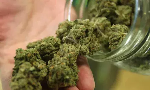 ఇన్స్టాగ్రామ్ వేదికగా గంజాయి అమ్మకం