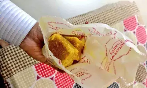 సమతామూర్తి కేంద్రం నిర్వాహ‌కుల‌పై ఫిర్యాదు