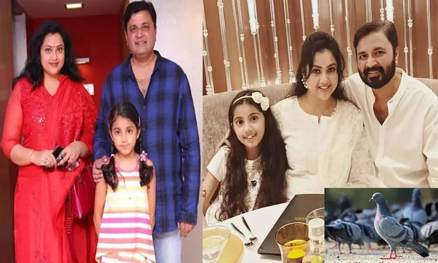 మీనా భ‌ర్త మృతికి అదే కార‌ణ‌మా..?