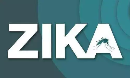 జికా వైరస్: 13 రాష్ట్రాల్లో 188 నమూనాలు పాజిటివ్‌, తెలంగాణలో నిశ్శబ్ద వ్యాపి