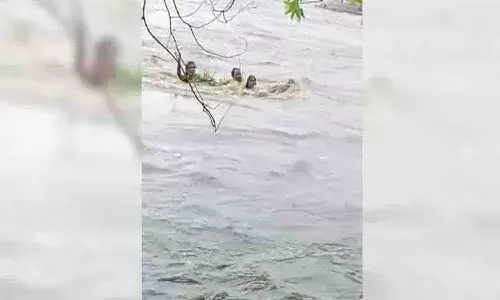 వాగులో కొట్టుకుపోయిన మహిళ