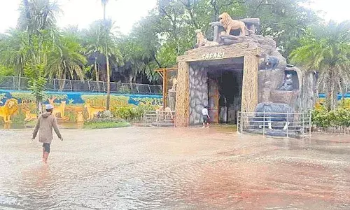హైదరాబాద్ జూ పార్కులోకి భారీగా వరద నీరు