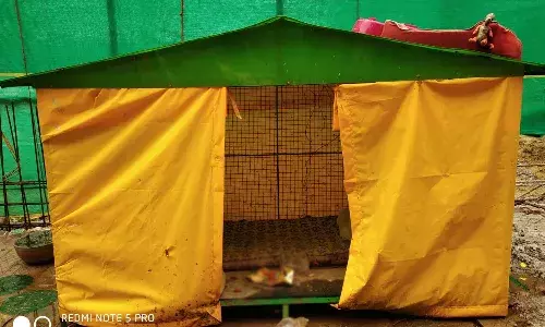 అన్ని సౌకర్యాలతో వీధి కుక్కల కోసం షెల్టర్.. నెట్టింట వైరల్..!