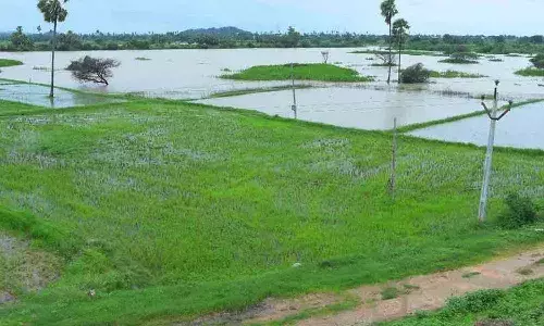 అన్నదాతల అపార పంట నష్టంపై అధికారులు లెక్కలేసేనా..!